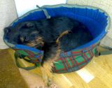 ...takhle tr�v� Darinka v�t�inu dne :)