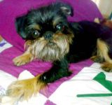 Denzel 9 m�s�c�!