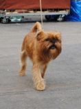 Channelka 2 roky