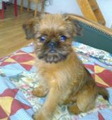 Channelka 2,5 m�s�ce
